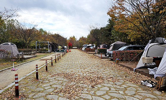 시민의 숲