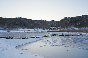 한파