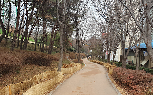 푸른길공원(남구 구간)