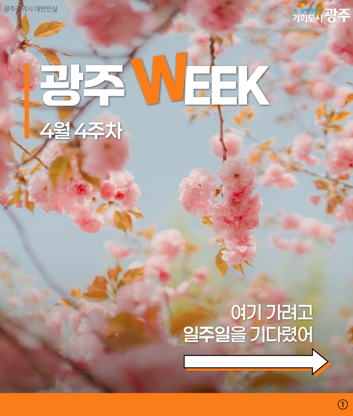 광주 WEEK 4월 4주차_1