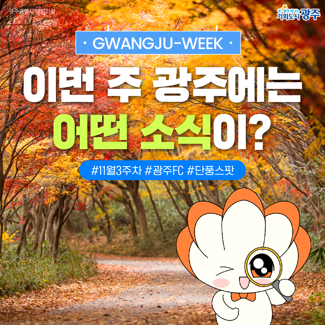 GWANGJU WEEK 이번 주 광주에는 어떤 소식이? #11월3주차 #광주FC #단풍스팟_1