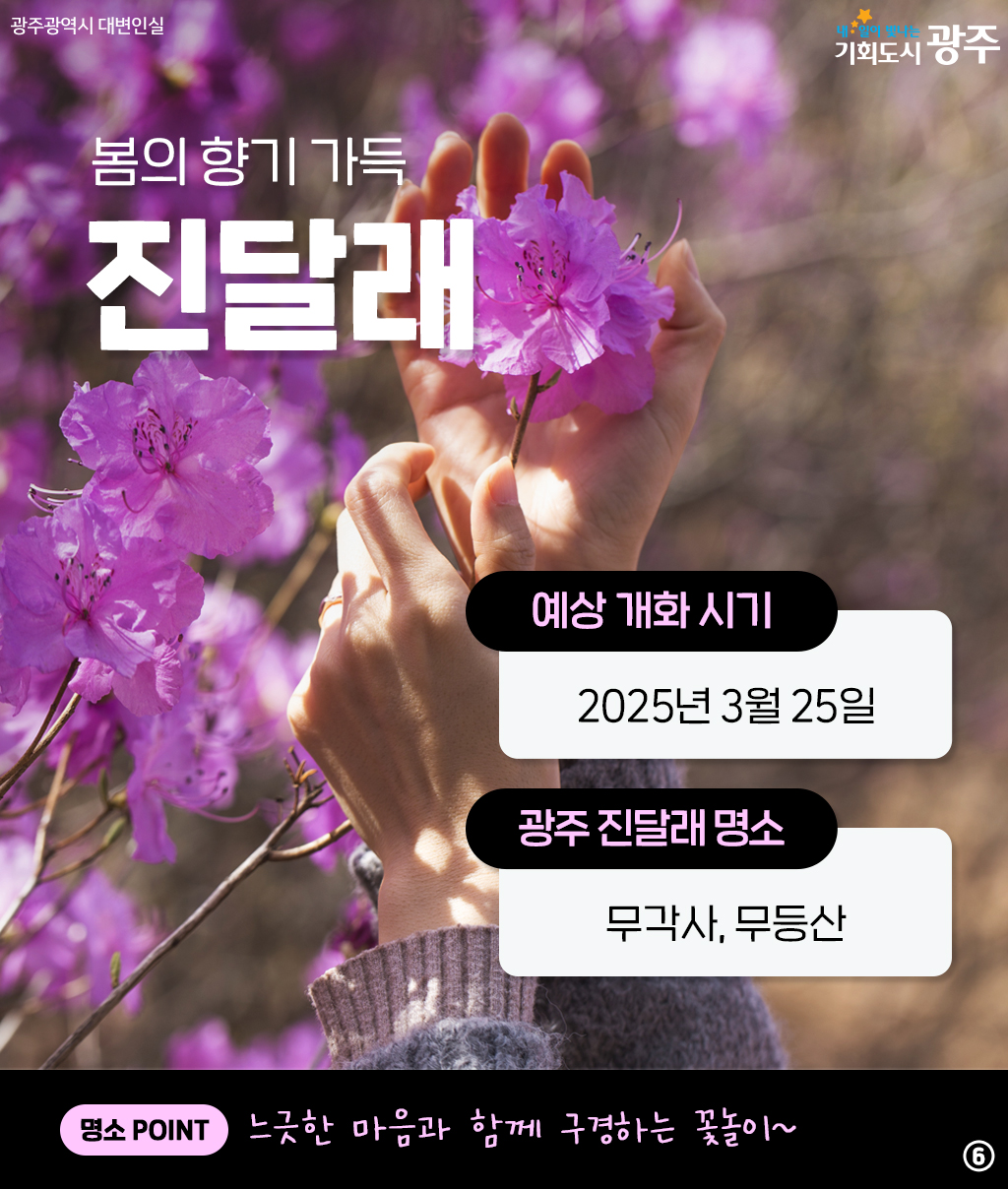 광주와 미리 알아보는 2025년 봄꽃 시즌! 설레는 봄 준비해 봄_6