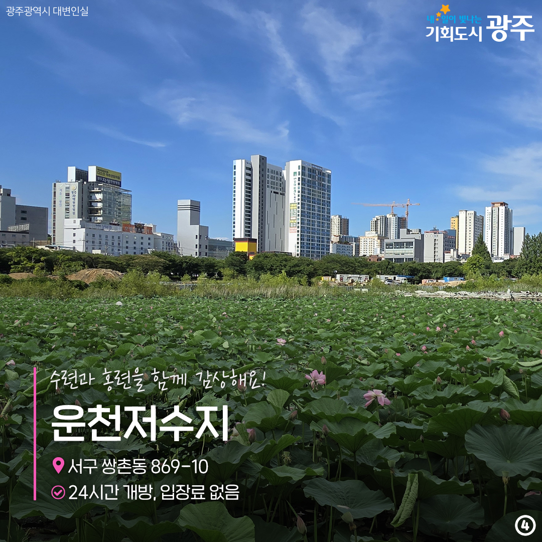 올여름, 당신의 연은 여기 있어요! 연꽃명소_4