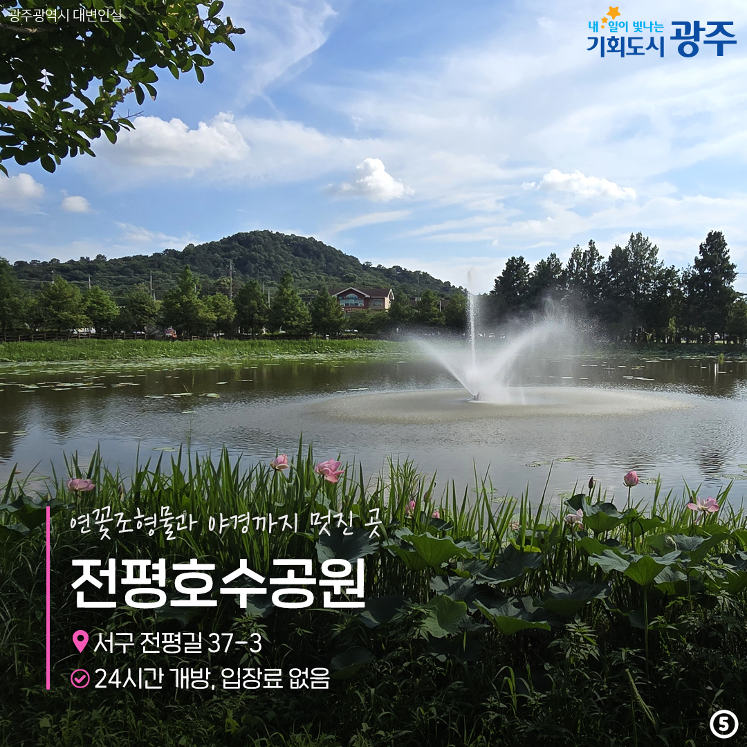 올여름, 당신의 연은 여기 있어요! 연꽃명소_5
