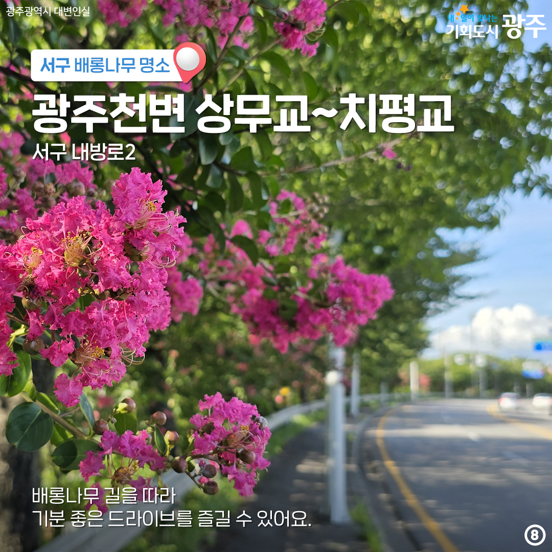 마지막 '여름'을 나와 함께! 배롱나무 광주 구별 명소_8