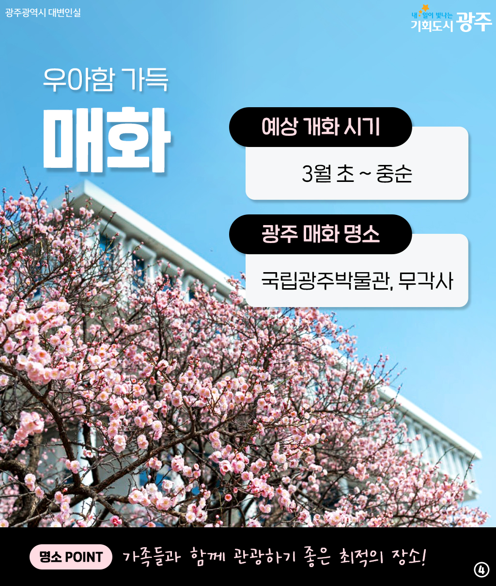 광주와 미리 알아보는 2025년 봄꽃 시즌! 설레는 봄 준비해 봄_4
