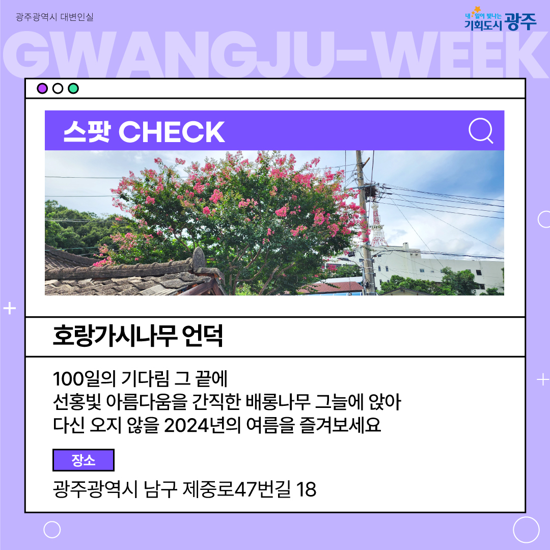 이번 주 광주에는 어떤 소식이? Gwangju Week 8월 1주 차_2