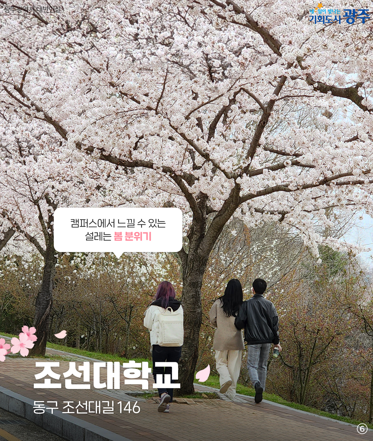 미리 준비하는 벚꽃 나들이 명소 저장해두고 꽃구경 가요_6