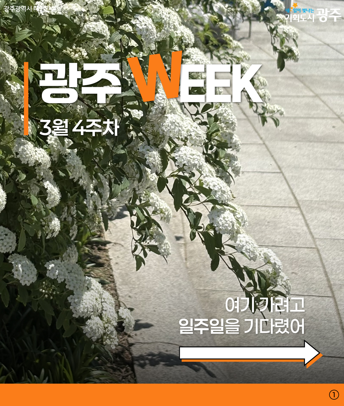 광주 WEEK 3월 4주차 여기 가려고 일주일을 기다렸어_1