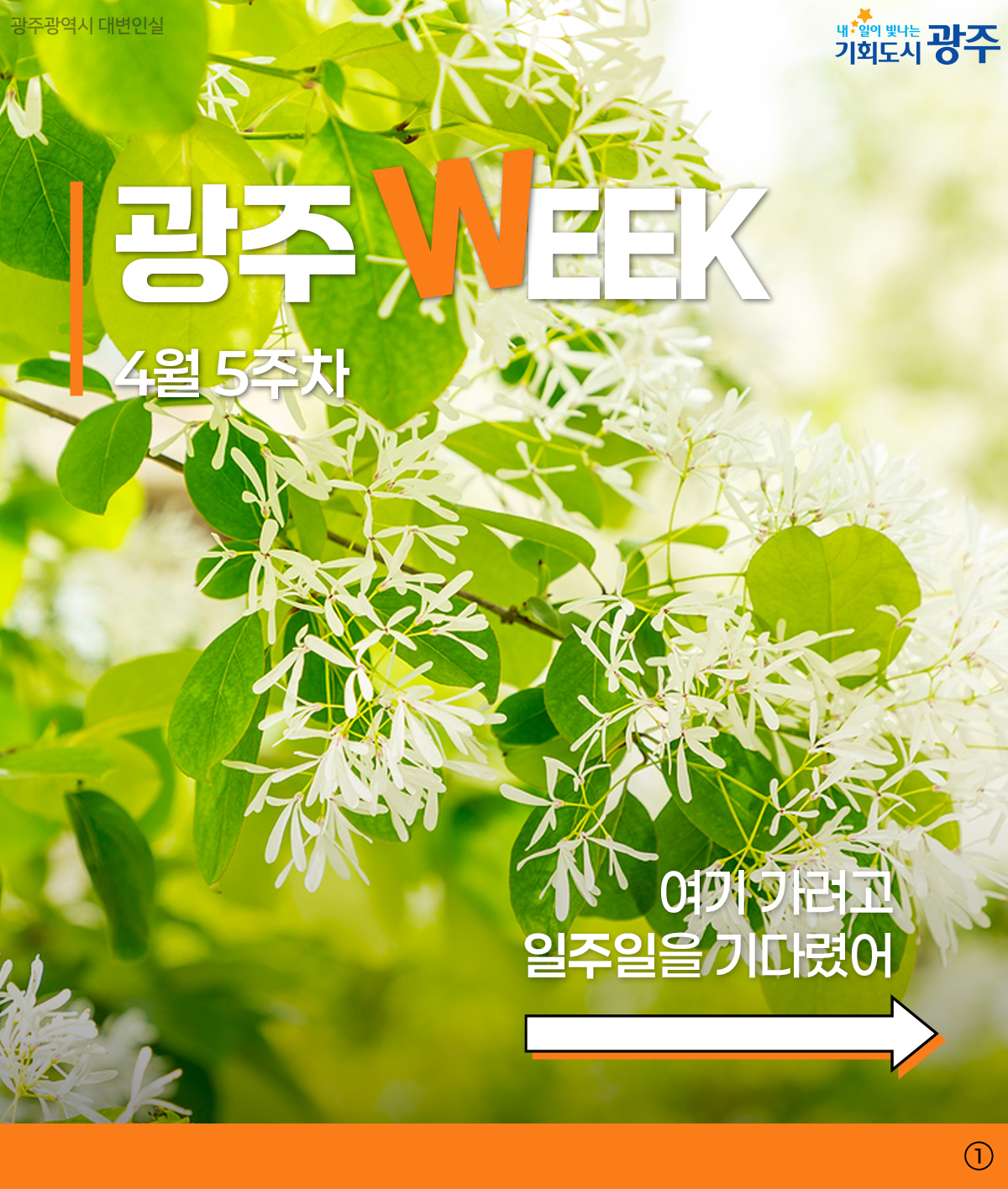 광주 WEEK 4월 5주차_1