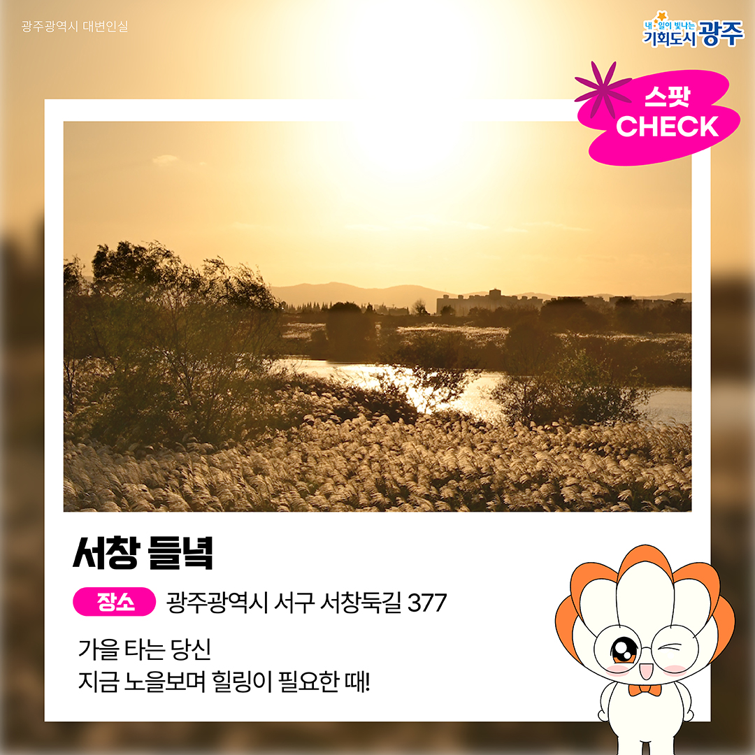 GWANGJU-WEEK 이번 주 광주에는 어떤 소식이? #10월5주차 #AI_페퍼스 #가을산책_2