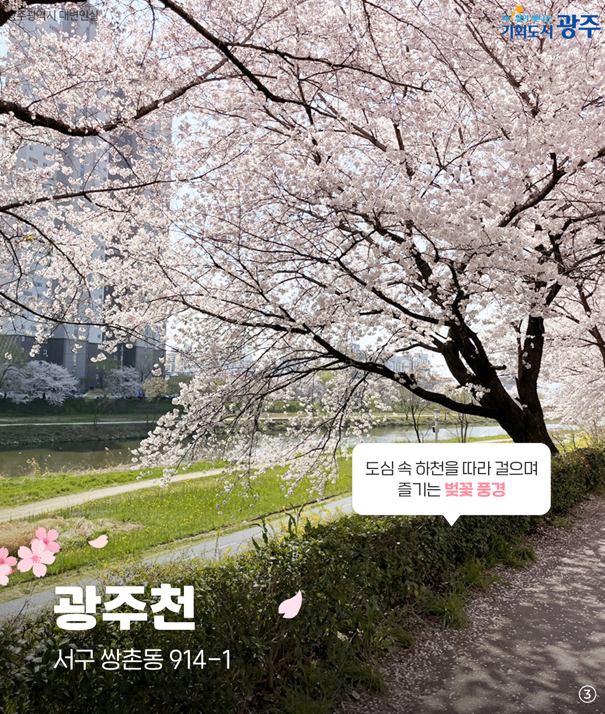 미리 준비하는 벚꽃 나들이 명소 저장해두고 꽃구경 가요_3