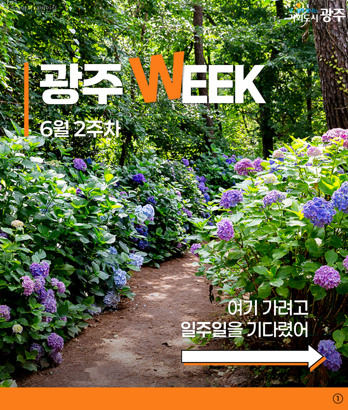 광주 WEEK 6월 2주차_1