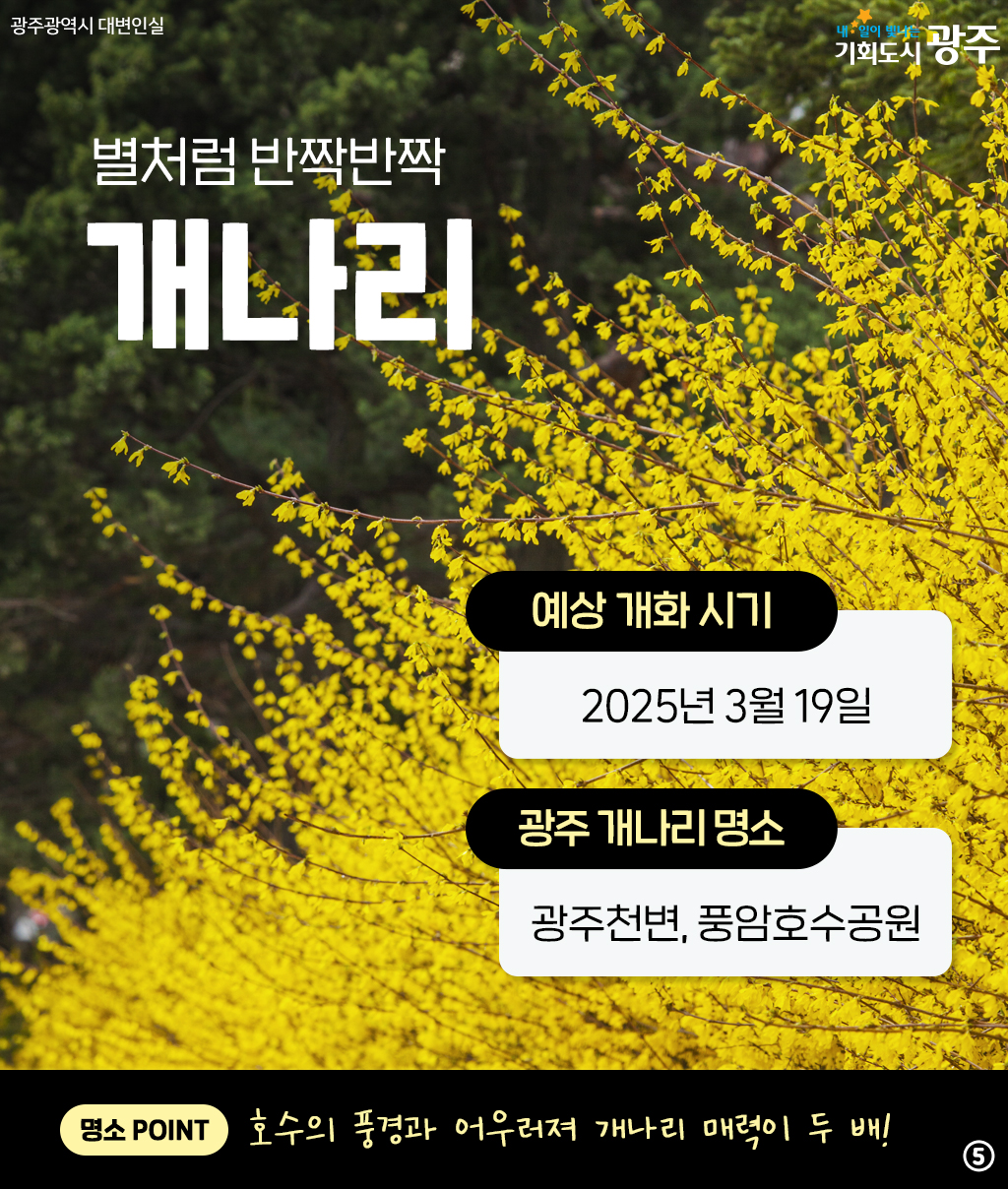 광주와 미리 알아보는 2025년 봄꽃 시즌! 설레는 봄 준비해 봄_5