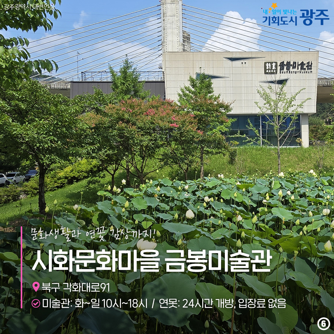 올여름, 당신의 연은 여기 있어요! 연꽃명소_6