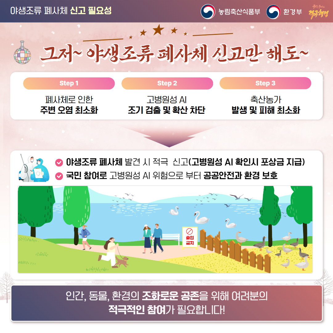 야생조류 폐사체 신고 및 행동요령_4