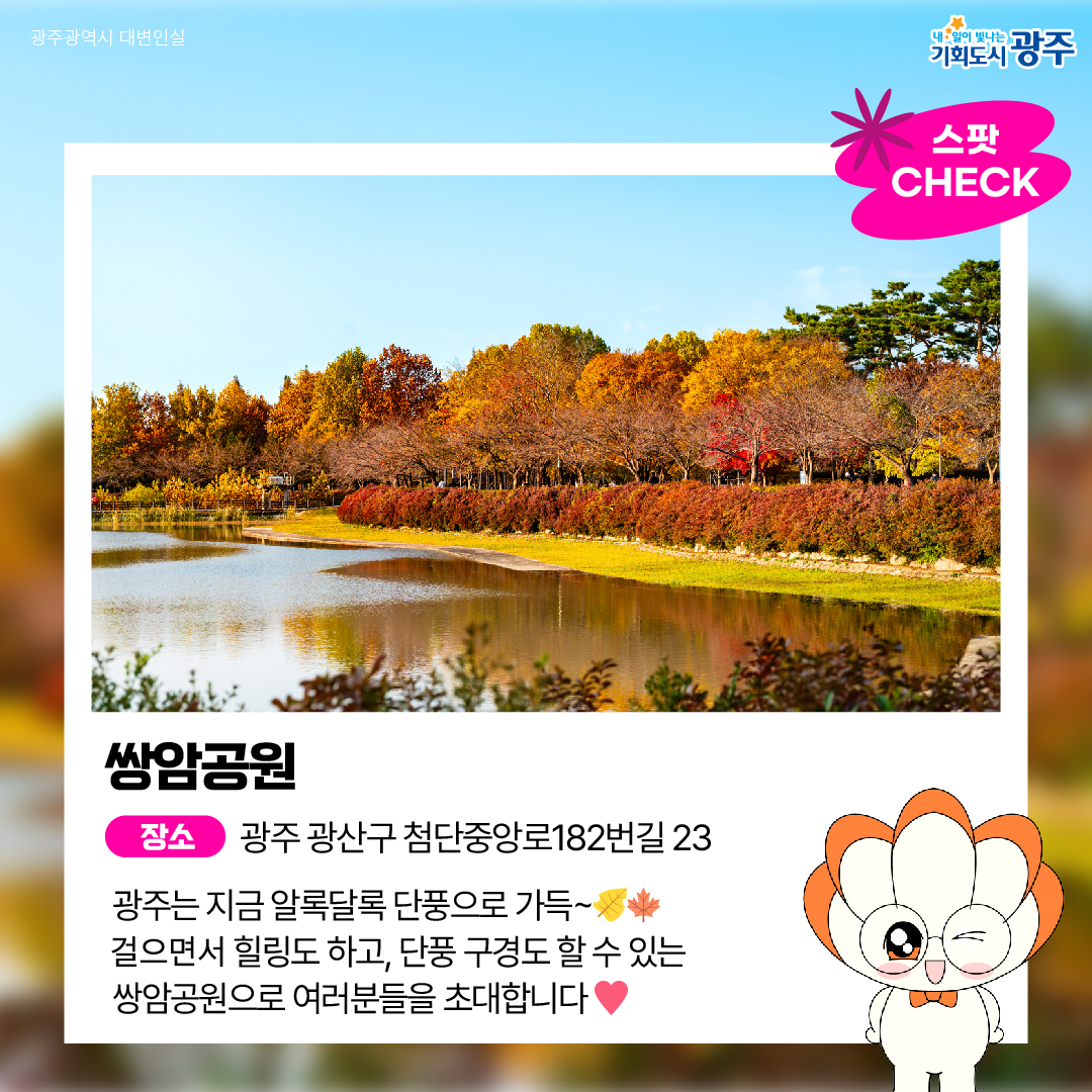 GWANGJU WEEK 이번 주 광주에는 어떤 소식이? #11월3주차 #광주FC #단풍스팟_2