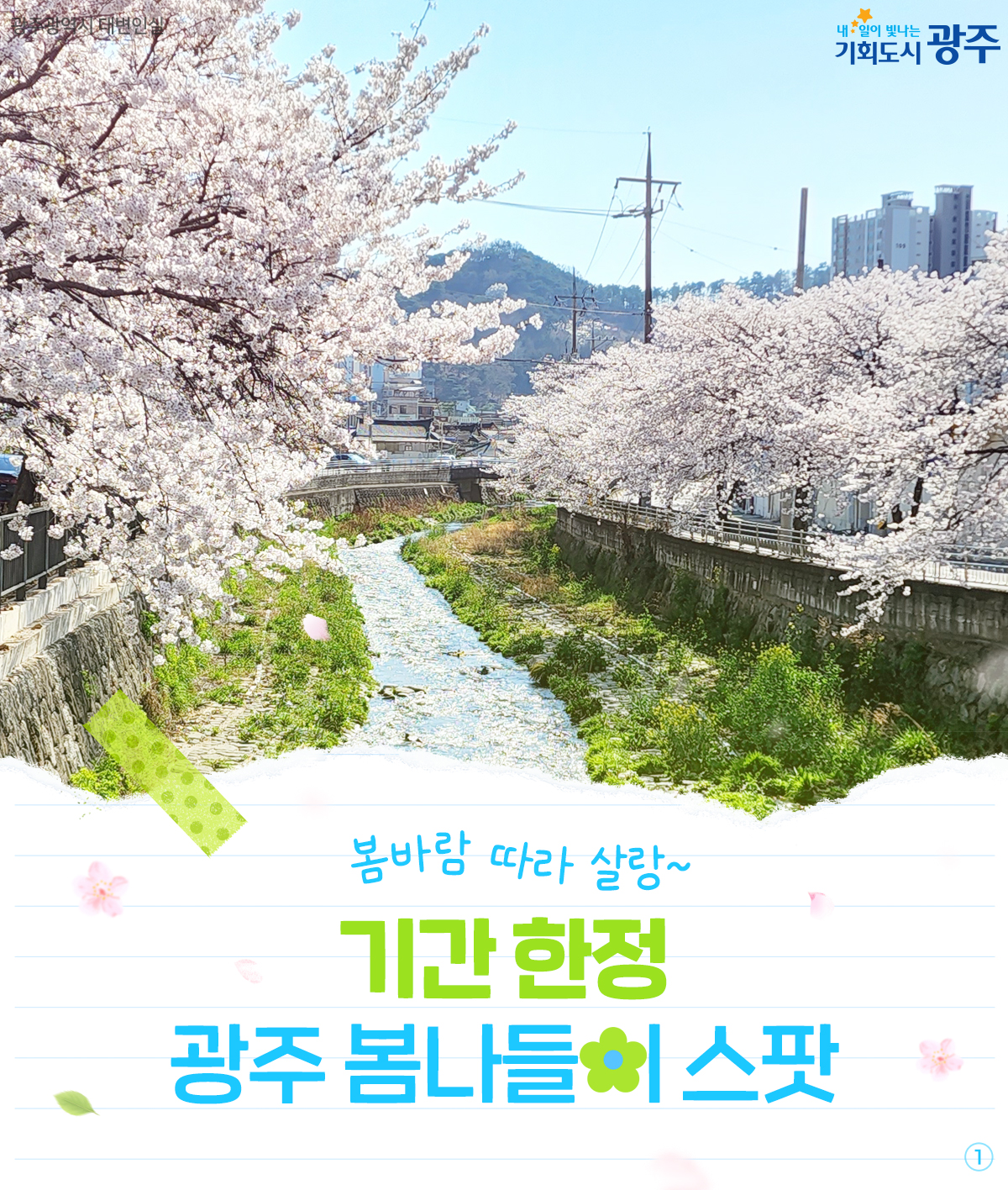 봄바람 따라 살랑~ 기간 한정 광주 봄나들이 스팟_1