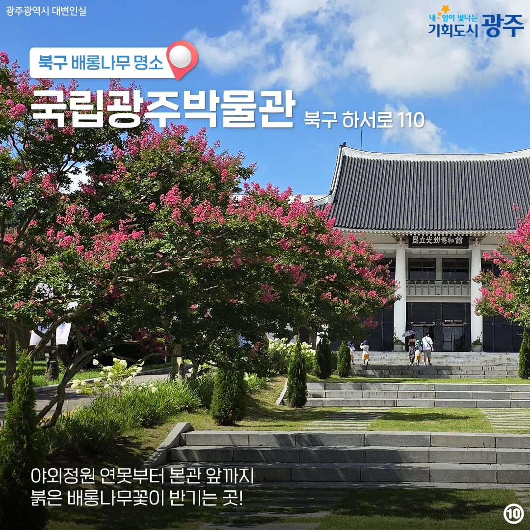마지막 '여름'을 나와 함께! 배롱나무 광주 구별 명소_10