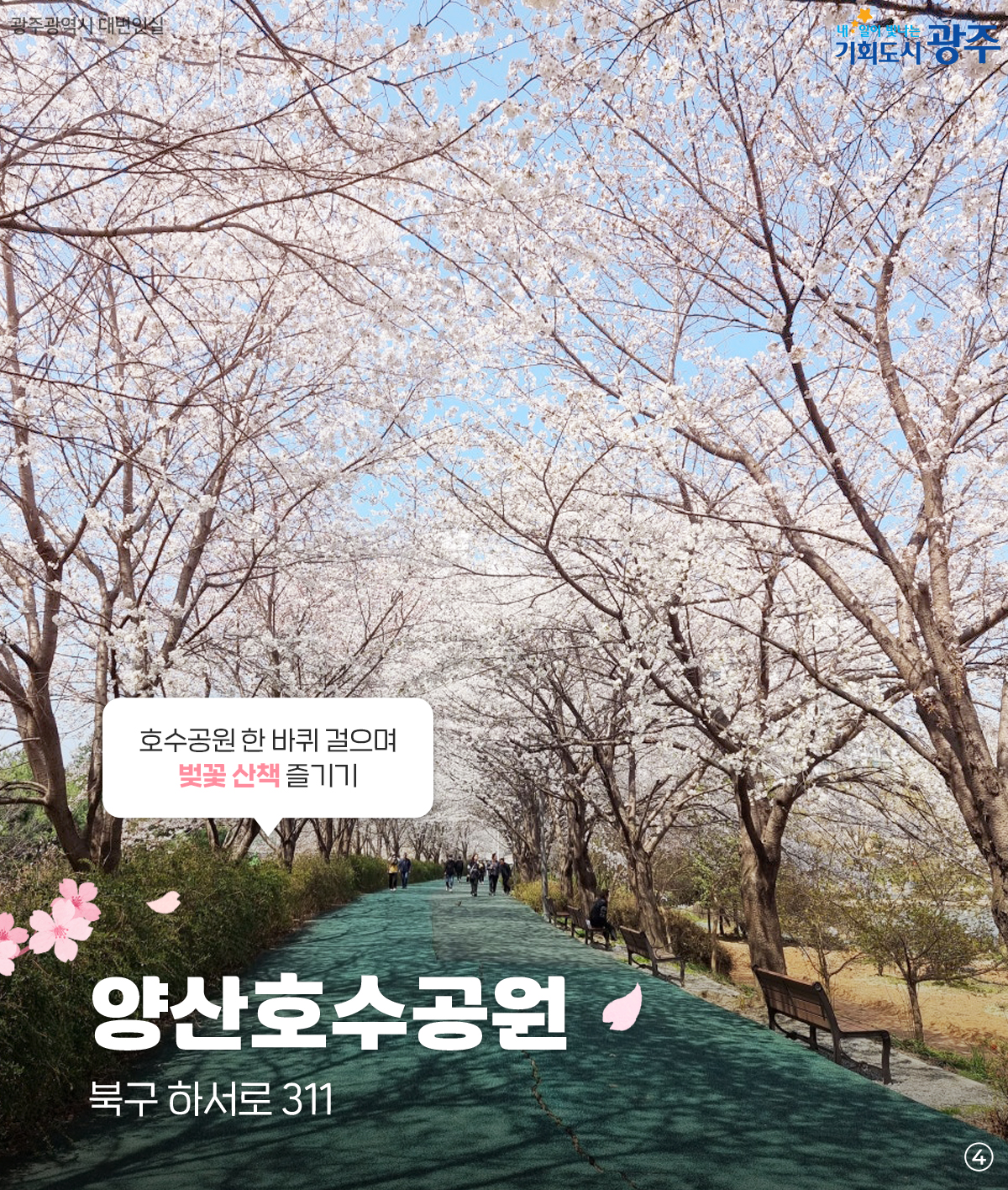 미리 준비하는 벚꽃 나들이 명소 저장해두고 꽃구경 가요_4
