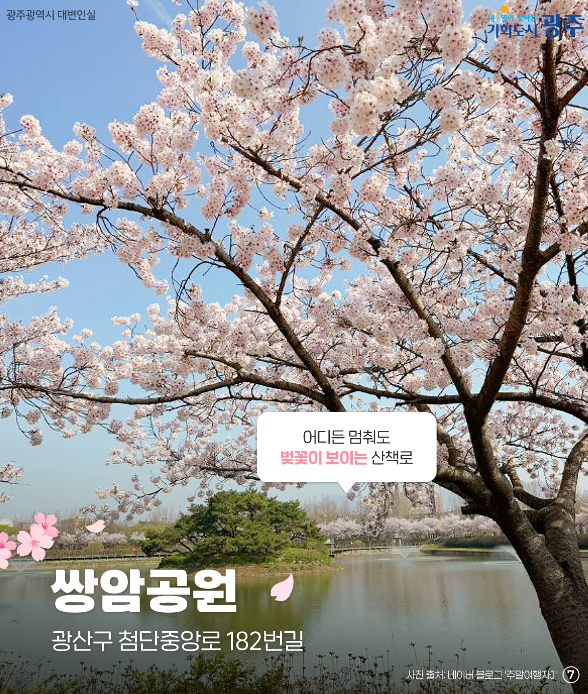 미리 준비하는 벚꽃 나들이 명소 저장해두고 꽃구경 가요_7