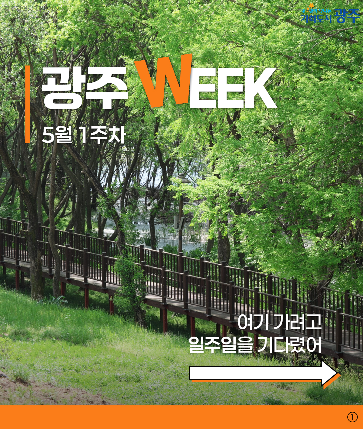 광주 WEEK 5월 1주차_1