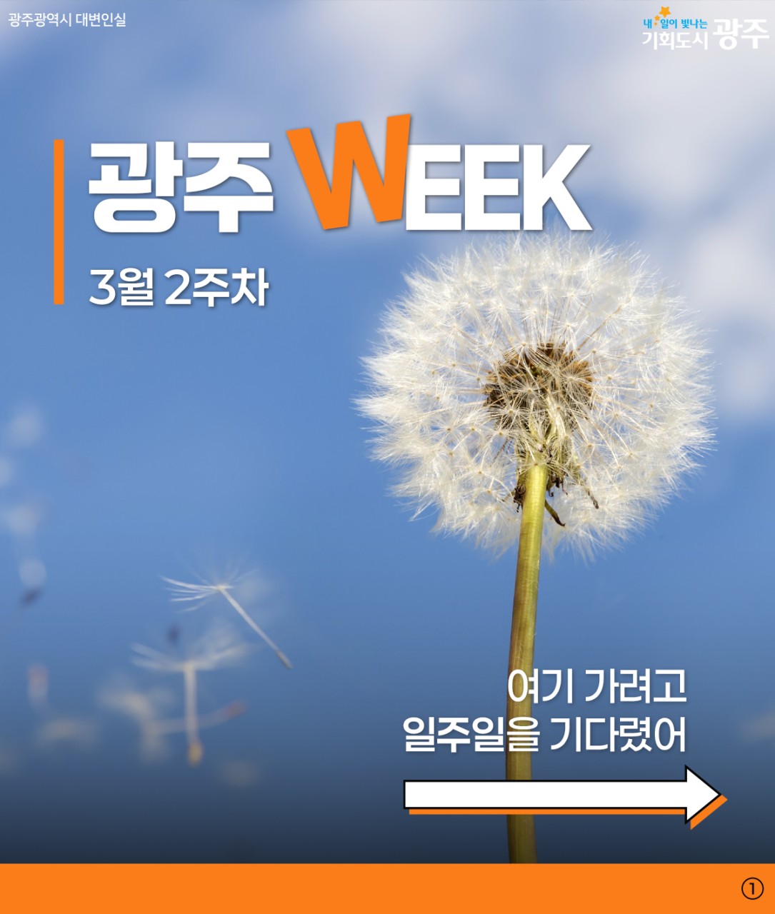 여기 가려고 일주일을 기다렸어! | 광주 WEEK 3월 2주차_1