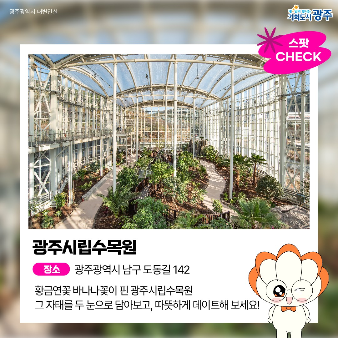 GWANGJU-WEEK 이번 주 광주에는 어떤 소식이? #11월1주차 #광주FC #무료영화_2