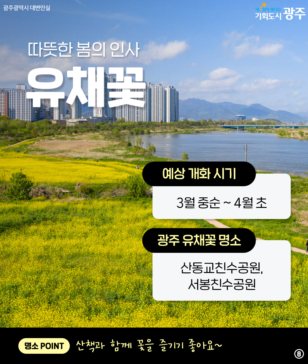 광주와 미리 알아보는 2025년 봄꽃 시즌! 설레는 봄 준비해 봄_8