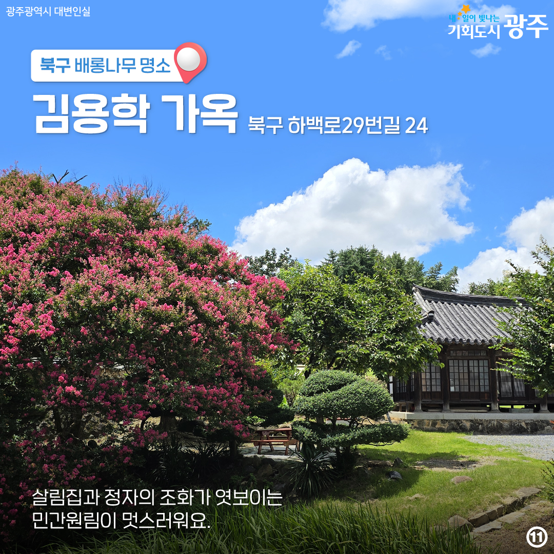 마지막 '여름'을 나와 함께! 배롱나무 광주 구별 명소_11