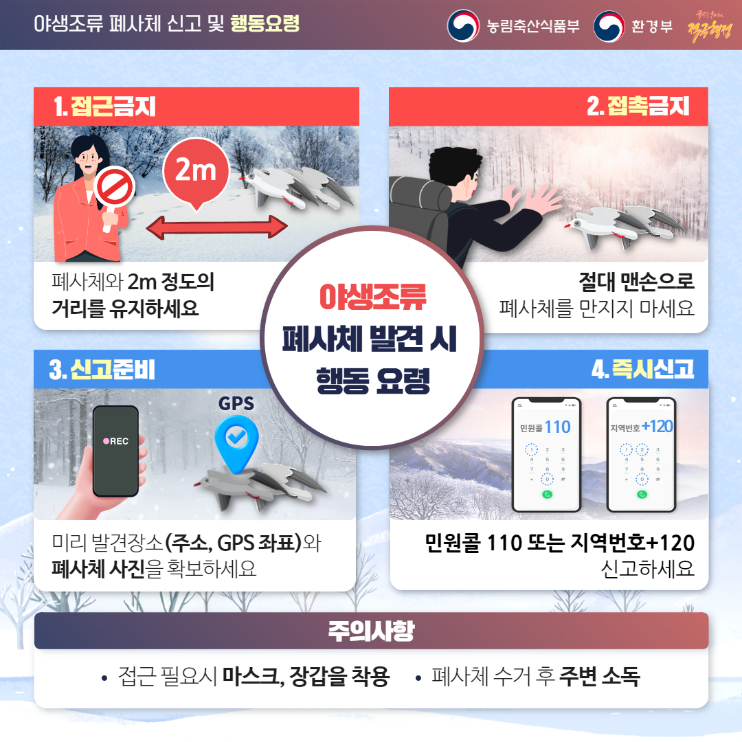 야생조류 폐사체 신고 및 행동요령_2
