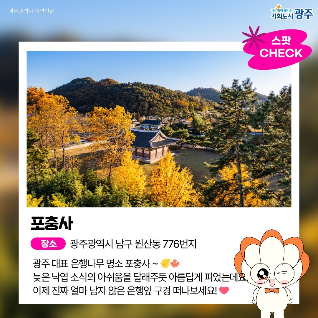 GWANGJU WEEK 이번 주 광주에는 어떤 소식이? #12월1주차 #가을은행 #북토크_2