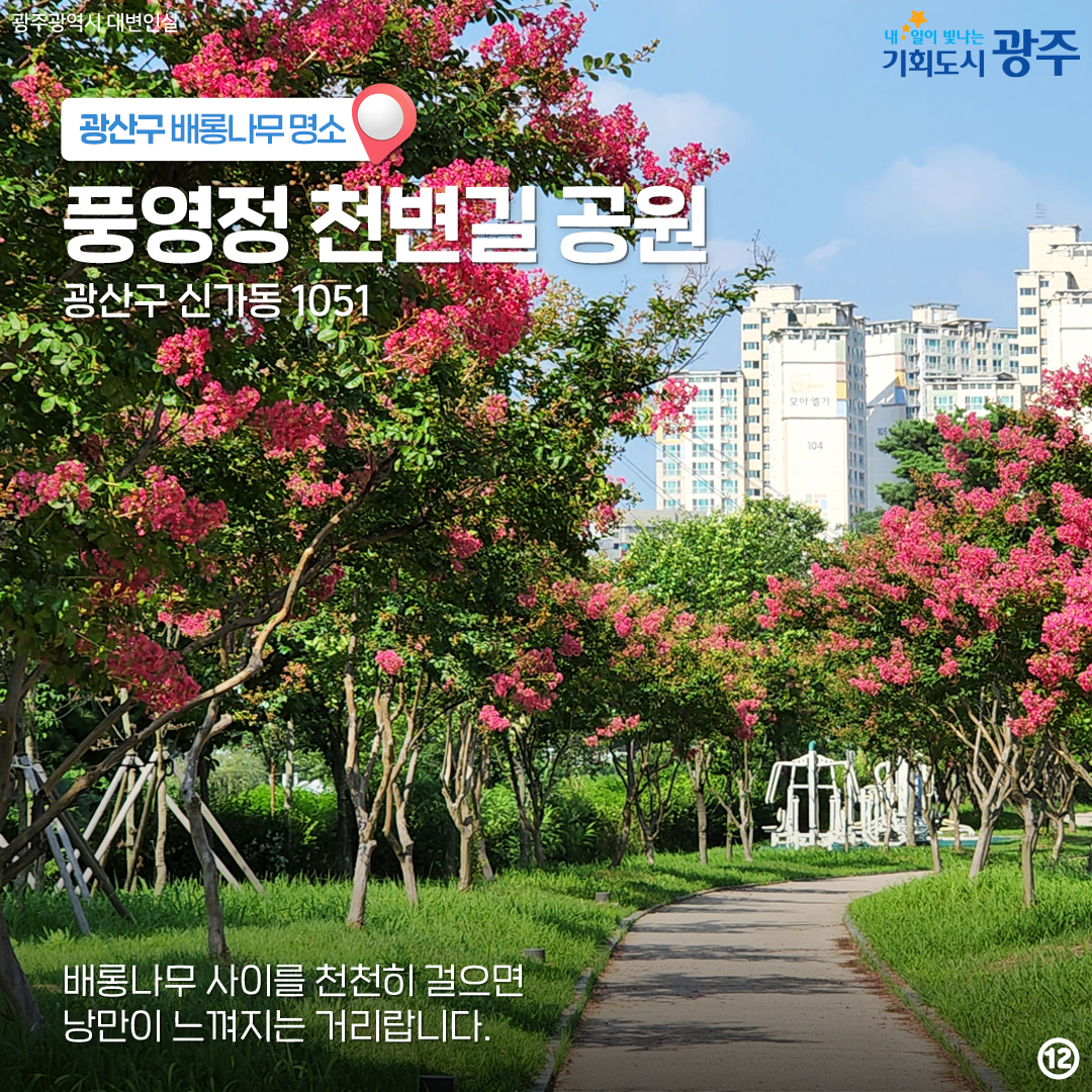 마지막 '여름'을 나와 함께! 배롱나무 광주 구별 명소_12
