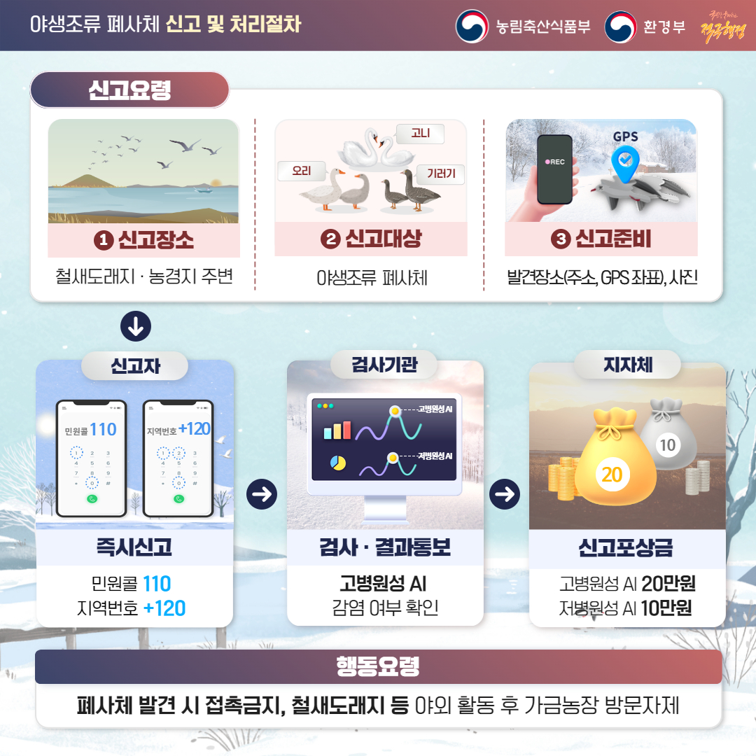 야생조류 폐사체 신고 및 행동요령_3