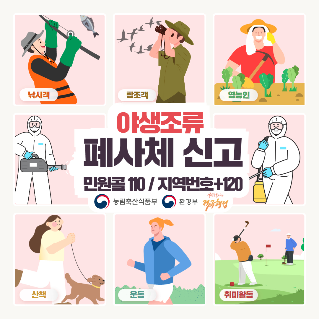 야생조류 폐사체 신고 및 행동요령_1