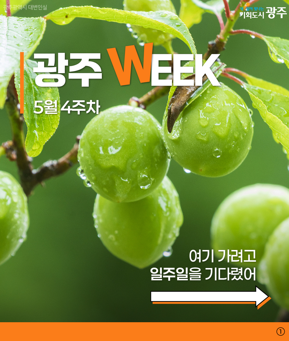 광주 WEEK 5월 4주차_1