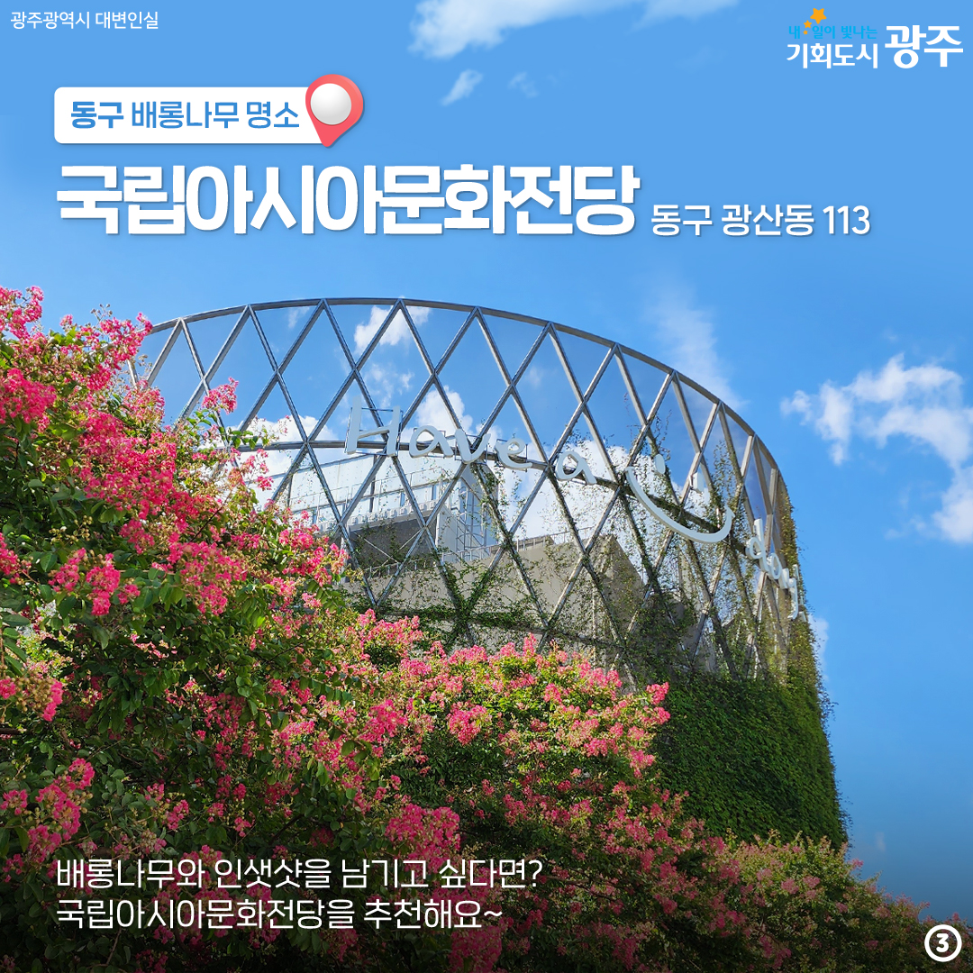 마지막 '여름'을 나와 함께! 배롱나무 광주 구별 명소_3
