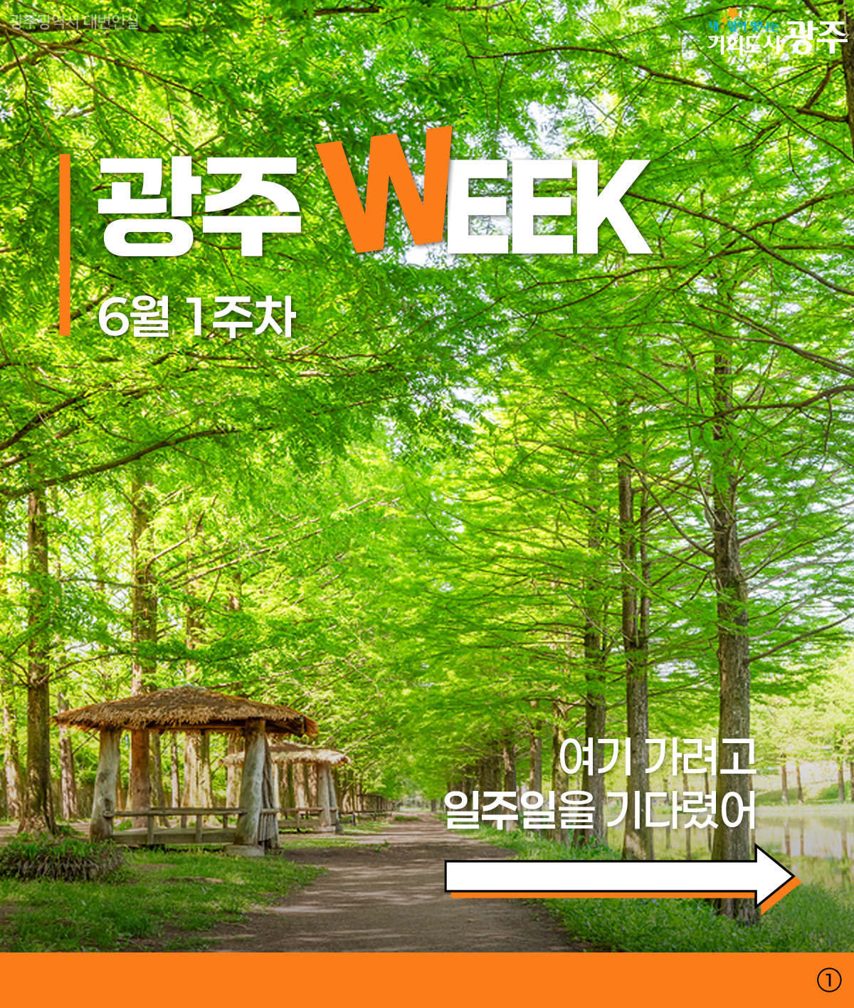 광주위크 6월 1주차_1