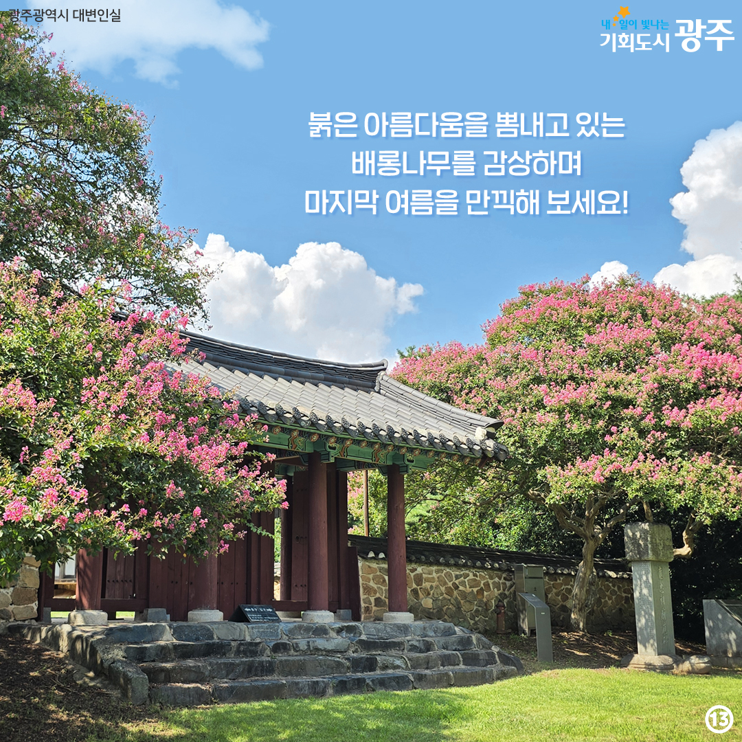 마지막 '여름'을 나와 함께! 배롱나무 광주 구별 명소_13