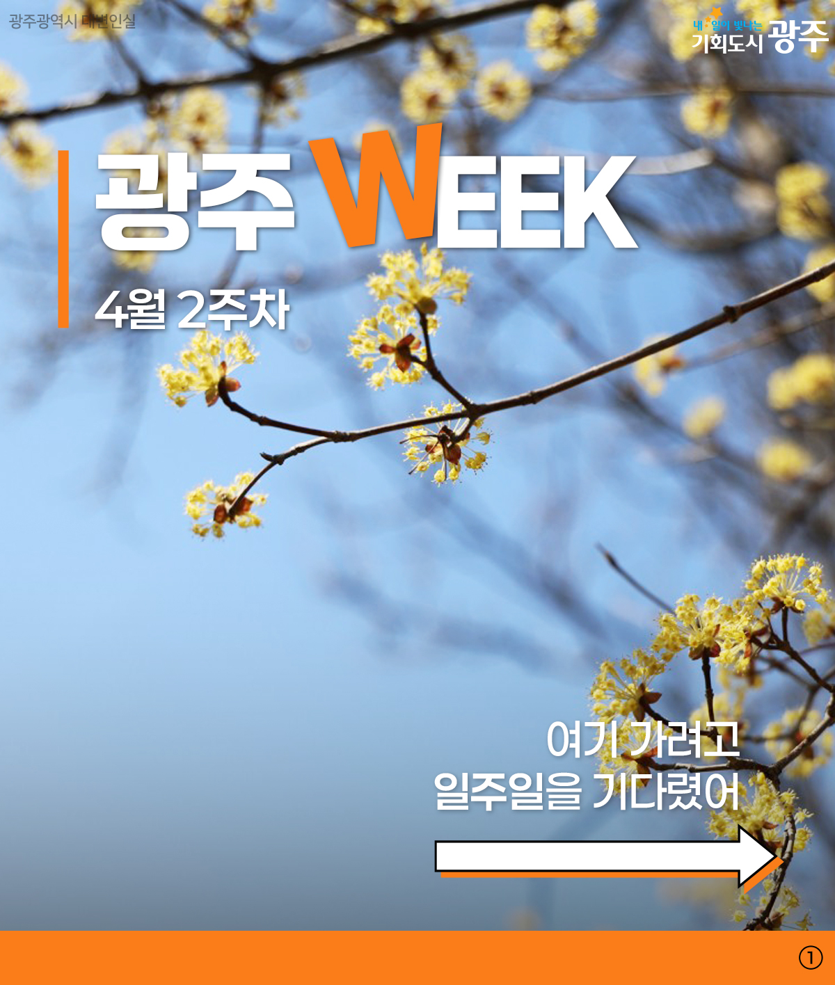 광주 WEEK 4월 2주차 여기 가려고 일주일을 기다렸어_1