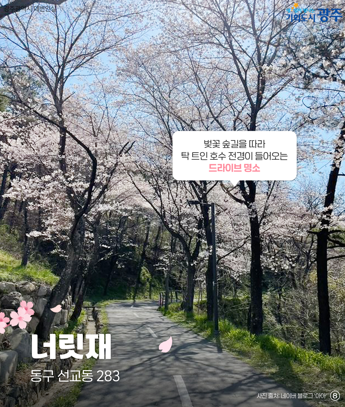 미리 준비하는 벚꽃 나들이 명소 저장해두고 꽃구경 가요_8