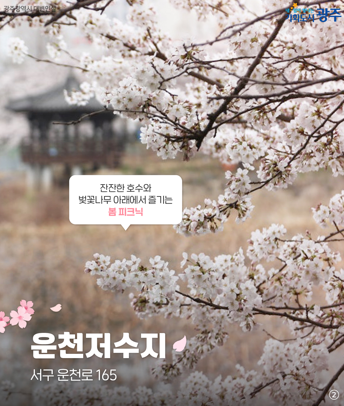 미리 준비하는 벚꽃 나들이 명소 저장해두고 꽃구경 가요_2