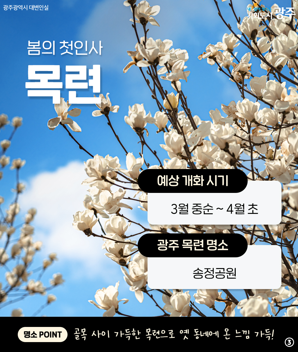 광주와 미리 알아보는 2025년 봄꽃 시즌! 설레는 봄 준비해 봄_3