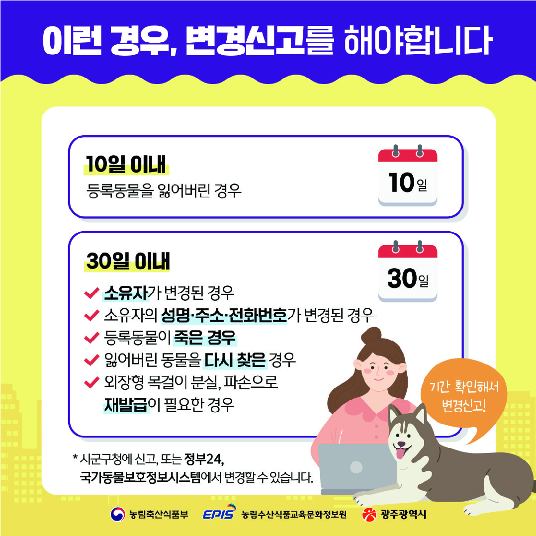 소중한 우리 강아지와의 연결고리반려견 등록_7
