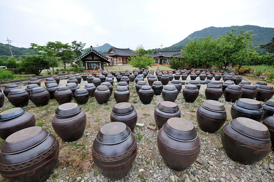 광주콩종합센터