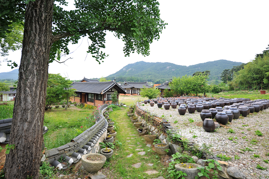 광주콩종합센터