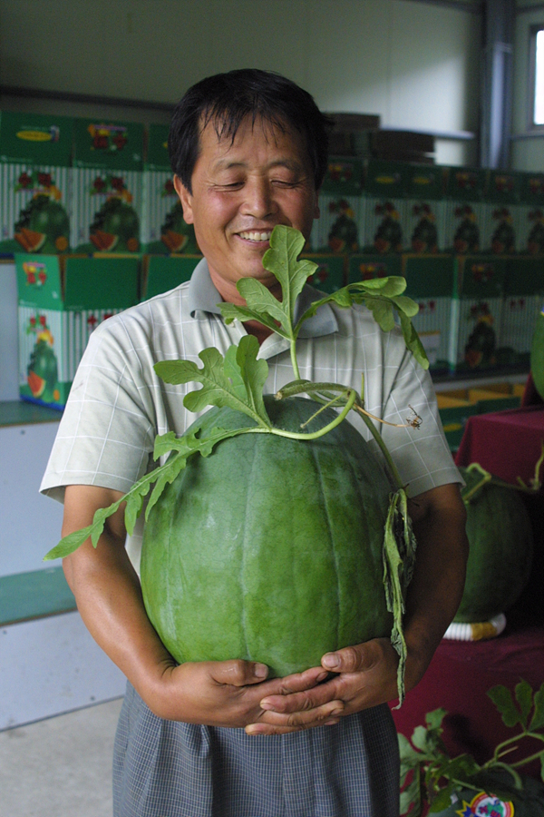 무등산 수박
