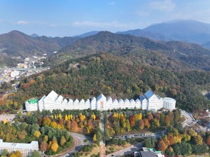 조선대학교