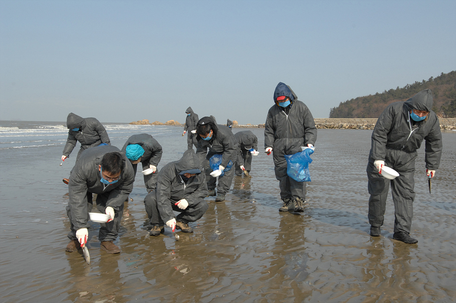 영광 타르 피해지역 봉사활동