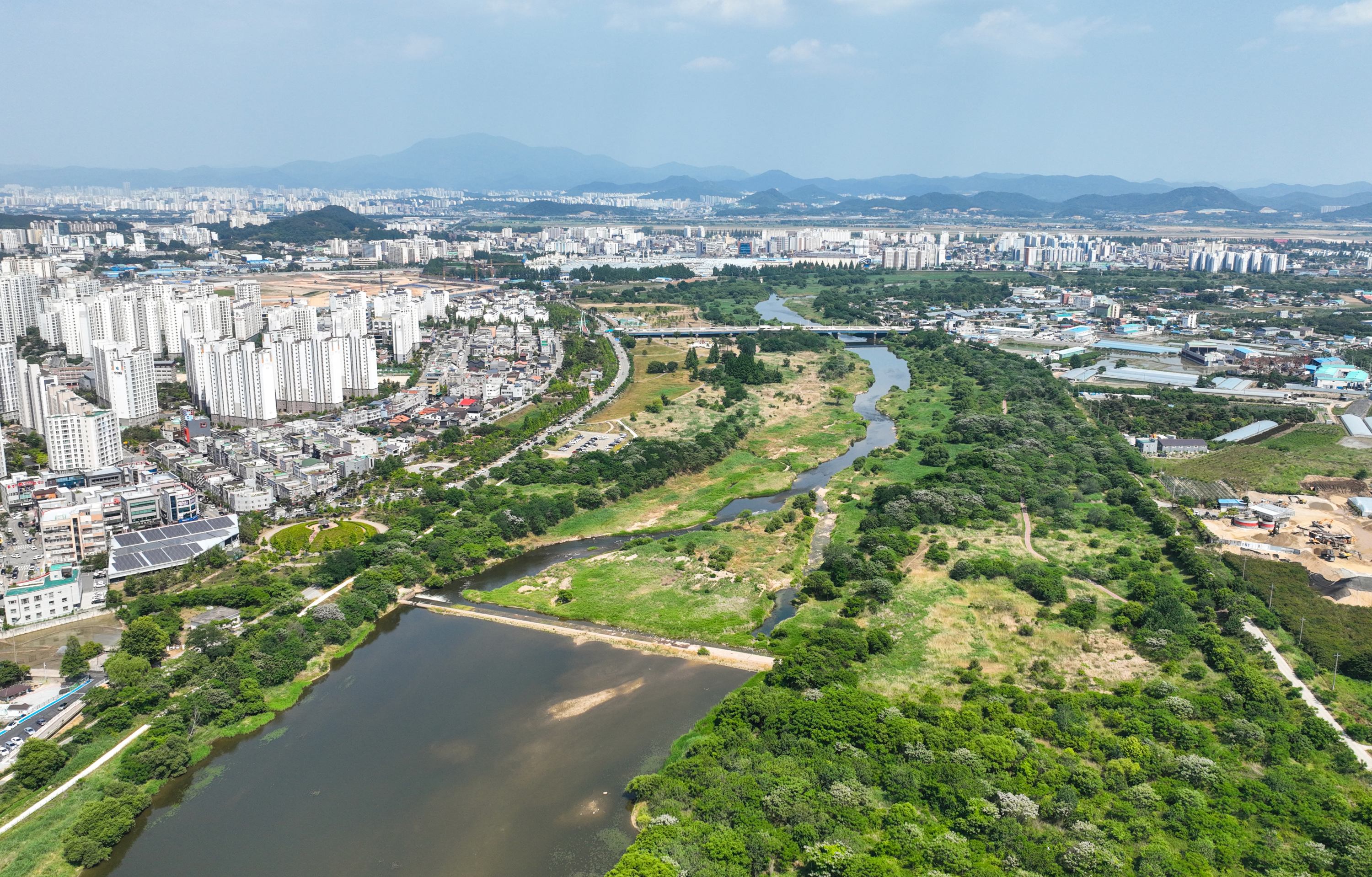 황룡강 장록습지